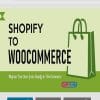 S2W Import Shopify to WooCommerce Free Download