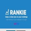 Rankie WP Rank Tracker Plugin GPL Free Download