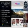 WP News and Scrolling Widgets Pro Free Download